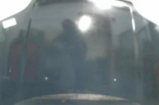 Capot NISSAN X-TRAIL 1 Photo n°1