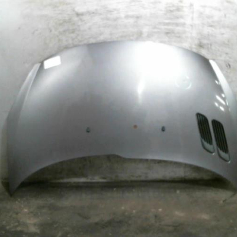 Capot PEUGEOT 206+ Photo n°1