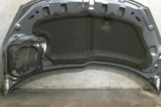 Capot PEUGEOT 206+