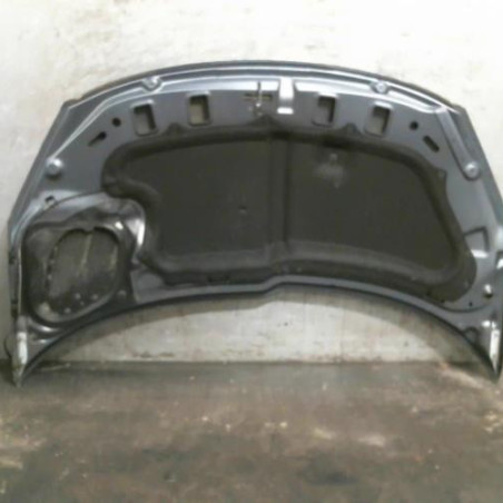 Capot PEUGEOT 206+