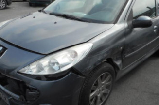 Capot PEUGEOT 206+
