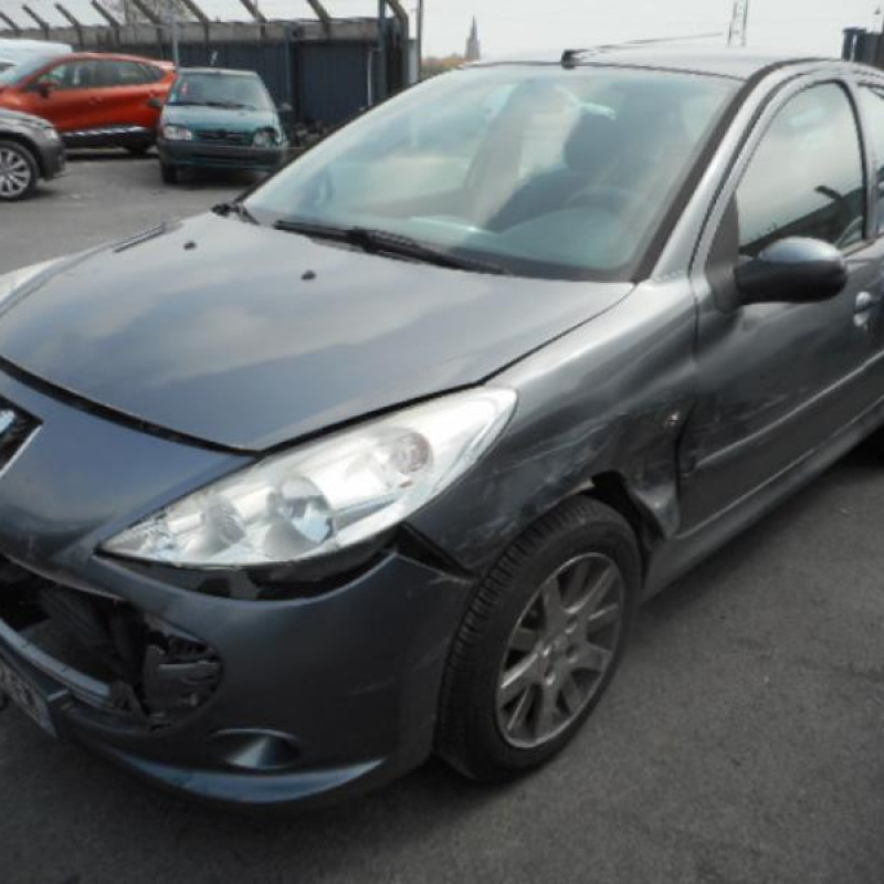 Capot PEUGEOT 206+ Photo n°3