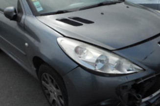 Capot PEUGEOT 206+