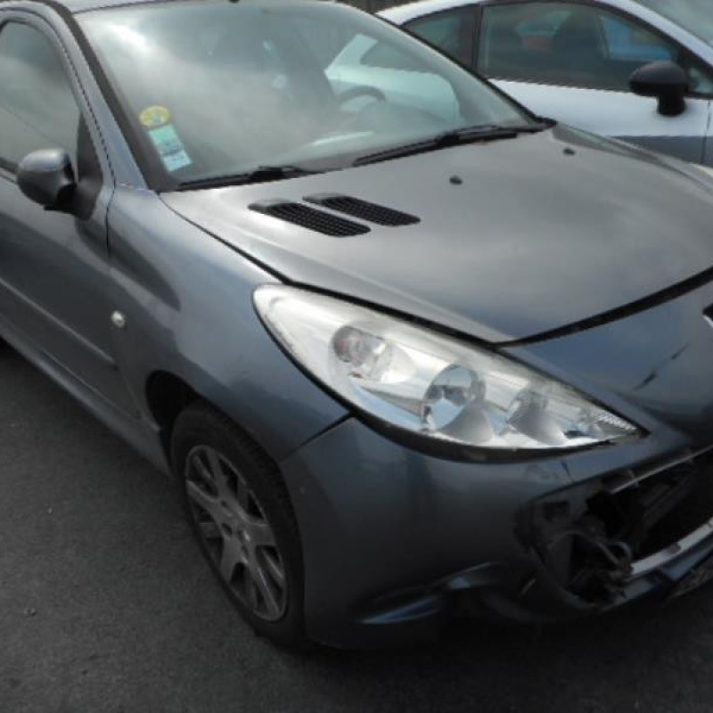 Capot PEUGEOT 206+ Photo n°4