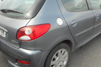 Capot PEUGEOT 206+