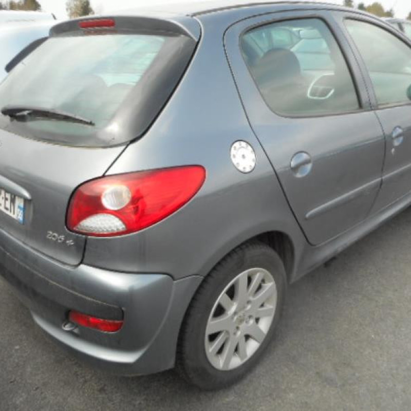 Capot PEUGEOT 206+ Photo n°5