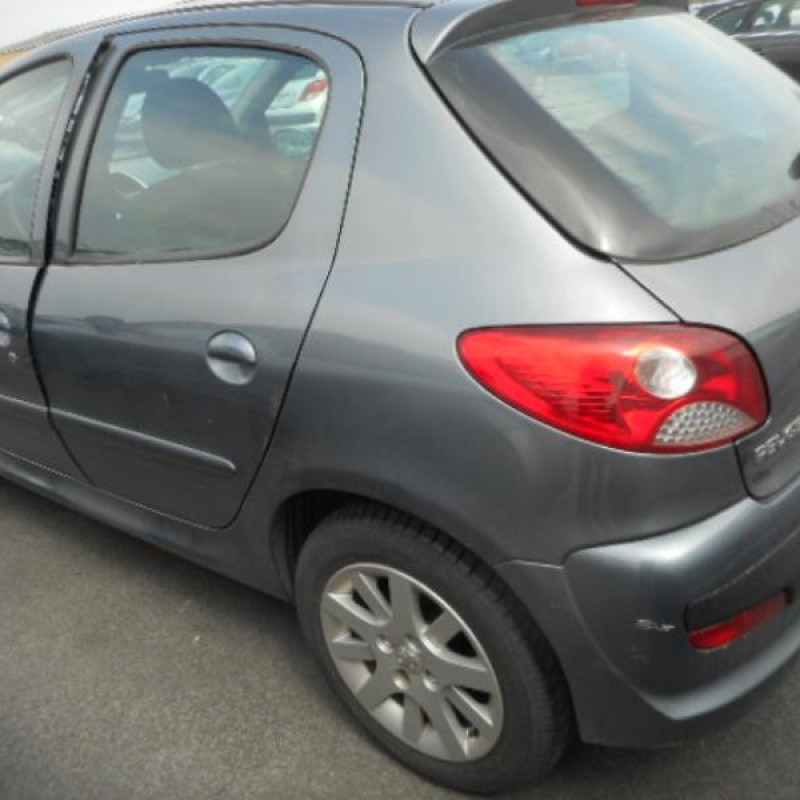 Capot PEUGEOT 206+ Photo n°6