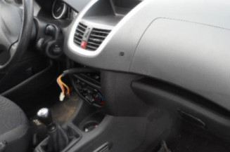 Capot PEUGEOT 206+
