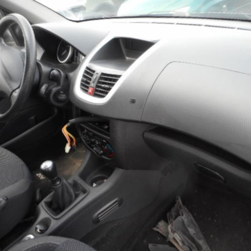 Capot PEUGEOT 206+ Photo n°7
