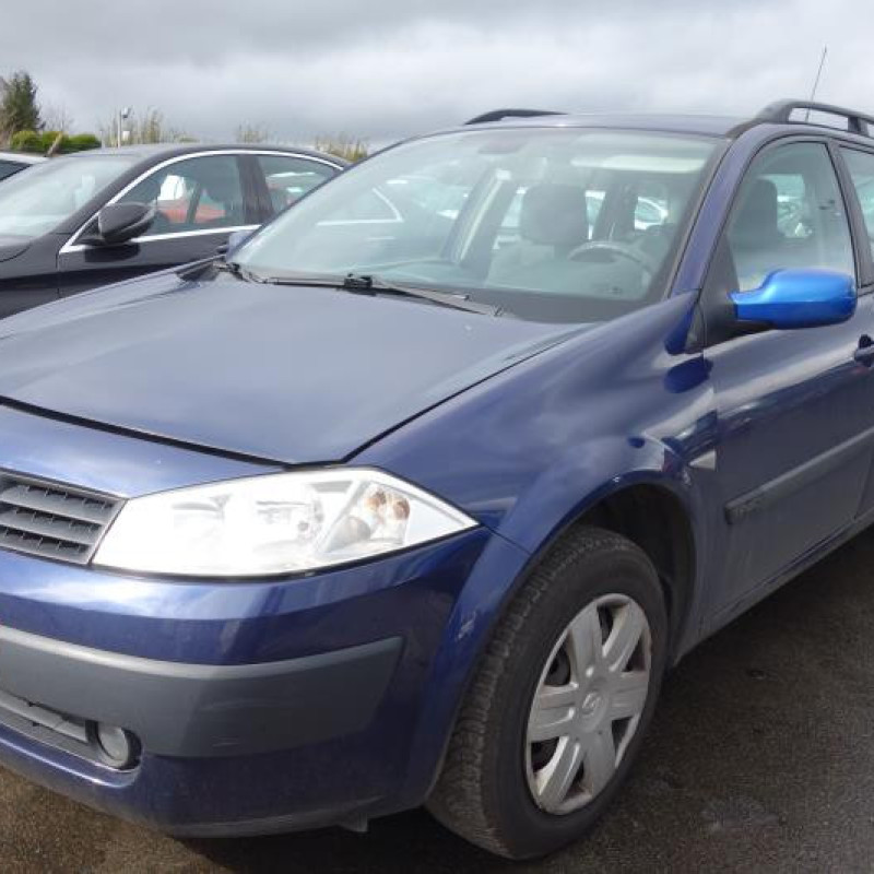 Porte arriere droit RENAULT MEGANE 2 Photo n°3