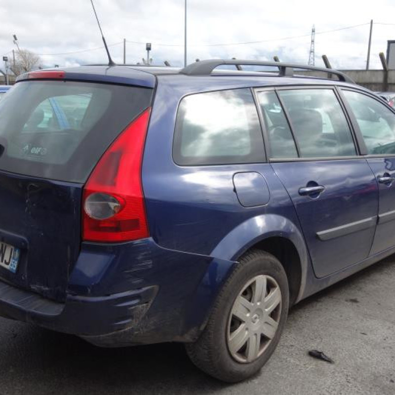 Porte arriere droit RENAULT MEGANE 2 Photo n°5
