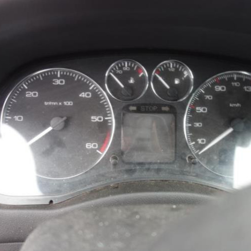 Ceinture arriere gauche PEUGEOT 307 Photo n°9