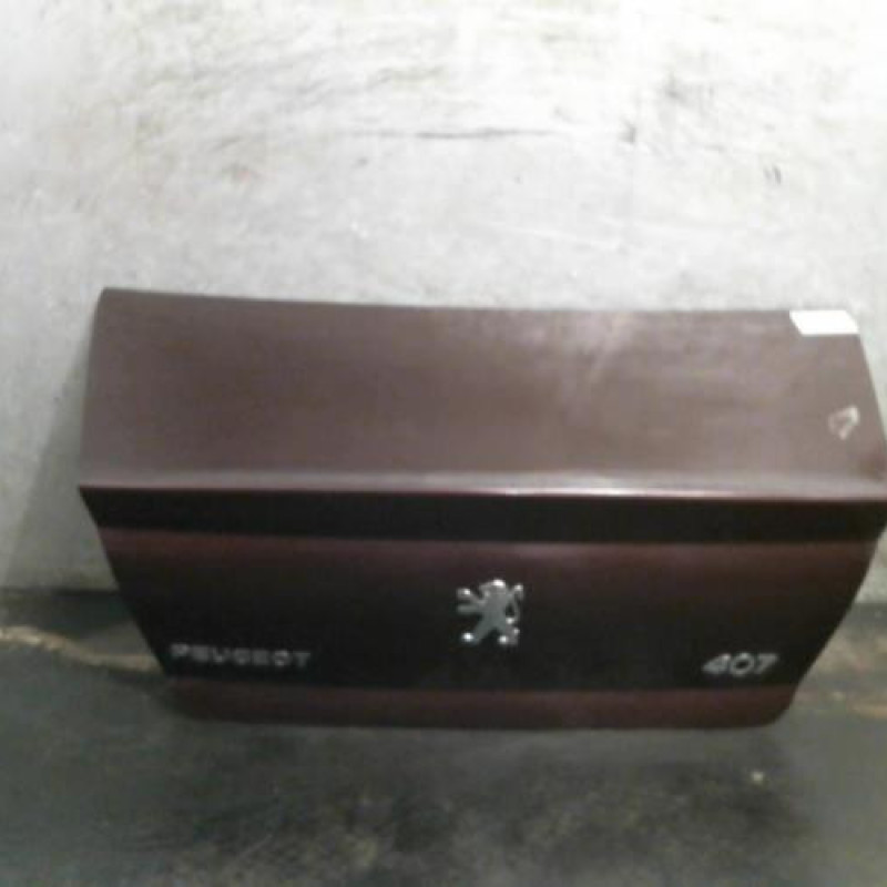 Malle/Hayon arriere PEUGEOT 407 Photo n°1