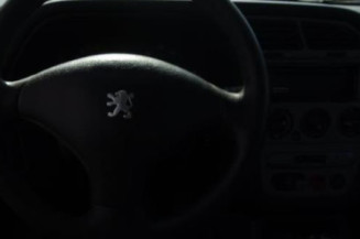 Malle/Hayon arriere PEUGEOT 306