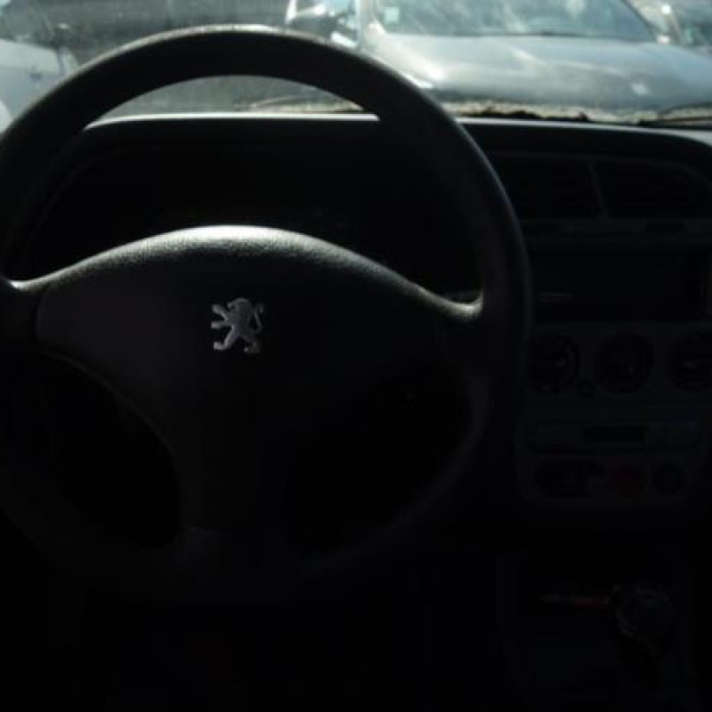 Malle/Hayon arriere PEUGEOT 306 Photo n°11
