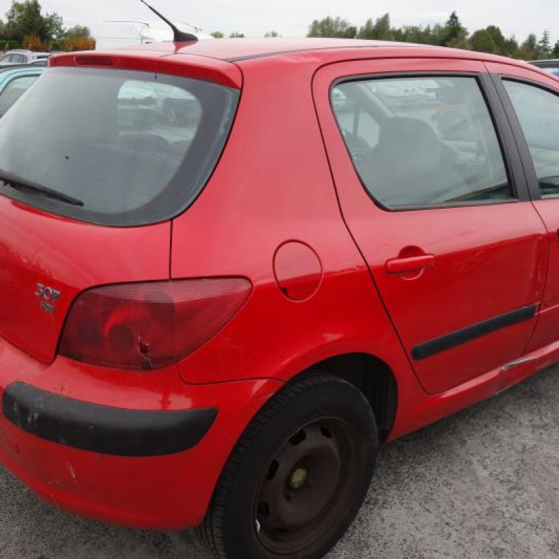 Porte arriere gauche PEUGEOT 307 Photo n°5