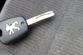 Porte arriere gauche PEUGEOT 307