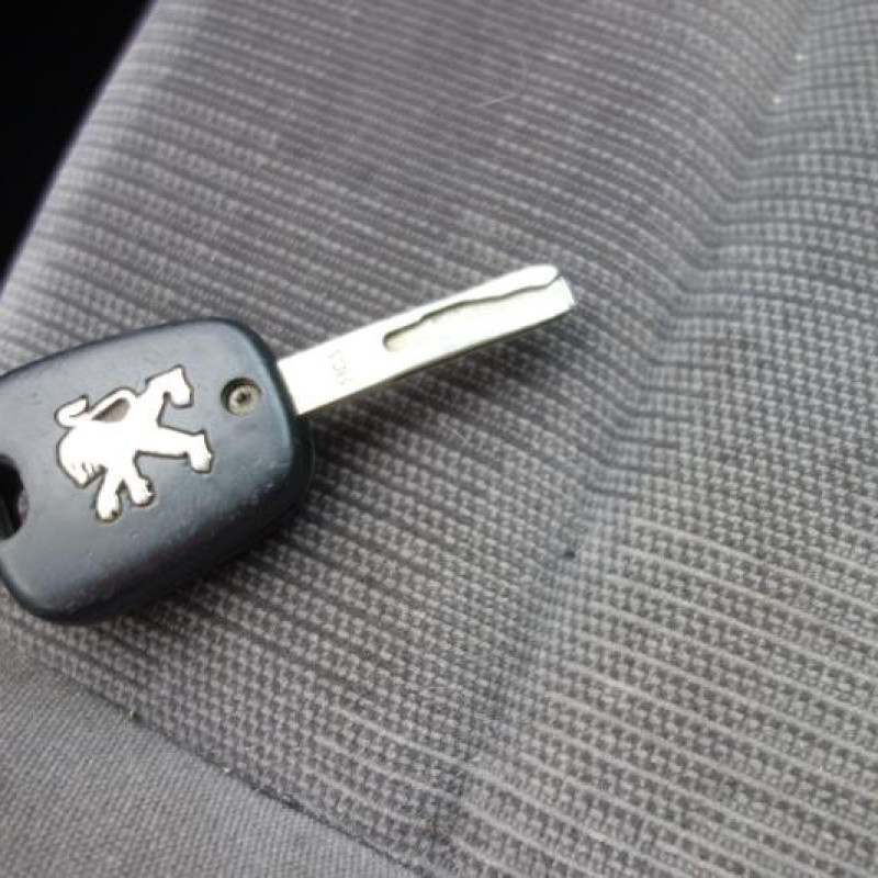Porte arriere gauche PEUGEOT 307 Photo n°12