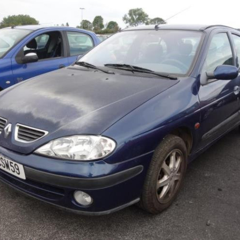 Porte avant droit RENAULT MEGANE 1 Photo n°3