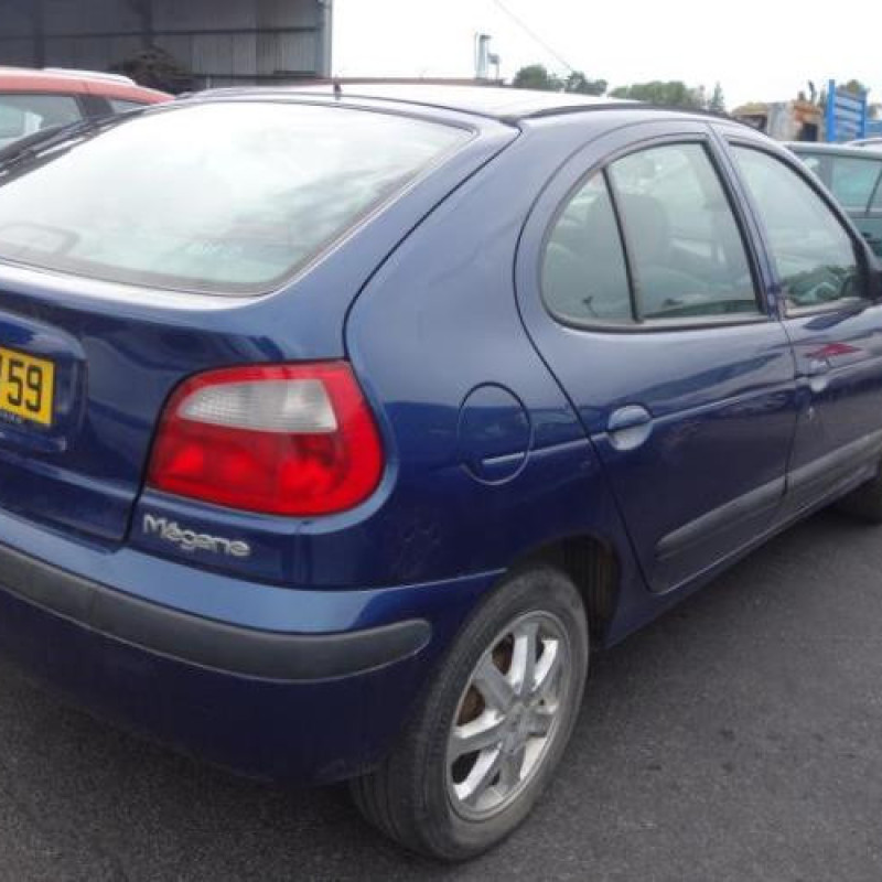 Porte avant droit RENAULT MEGANE 1 Photo n°5