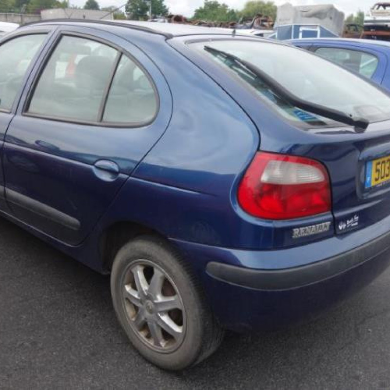 Porte avant droit RENAULT MEGANE 1 Photo n°6
