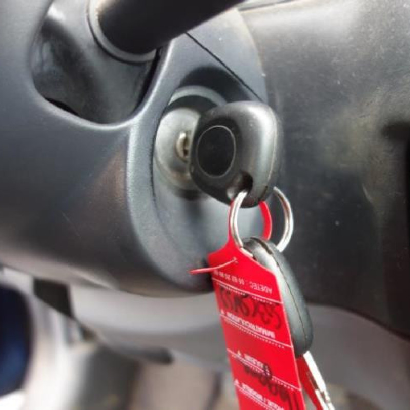 Porte avant droit RENAULT MEGANE 1 Photo n°11