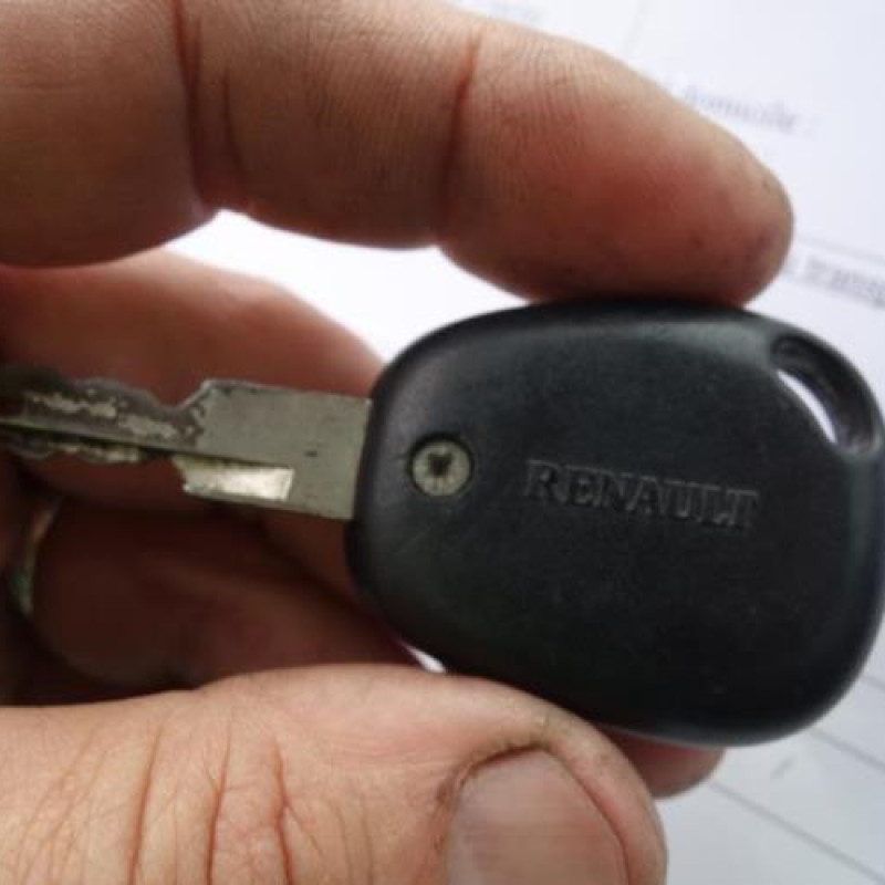 Porte arriere droit RENAULT MEGANE 1 Photo n°13