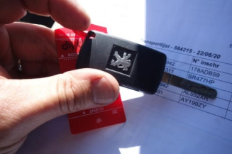 Porte arriere gauche PEUGEOT 407
