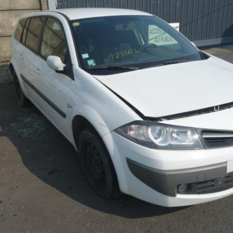 Custode arriere gauche (porte) RENAULT MEGANE 2 Photo n°2