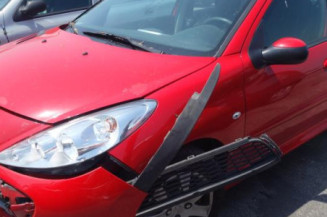 Retroviseur droit PEUGEOT 206+