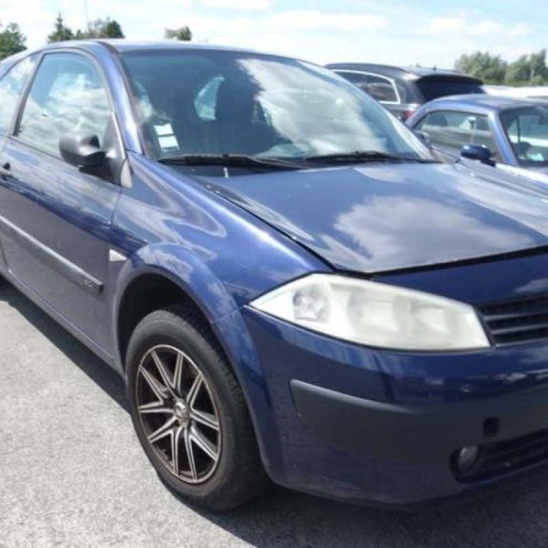 Porte avant gauche RENAULT MEGANE 2 Photo n°4