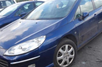 Malle/Hayon arriere PEUGEOT 407