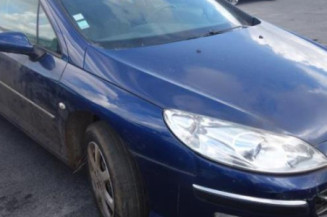 Malle/Hayon arriere PEUGEOT 407