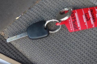 Malle/Hayon arriere PEUGEOT 407