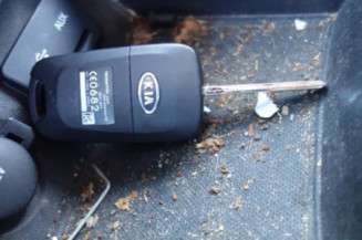 Avertisseur/Klaxon KIA PRO-CEED 1