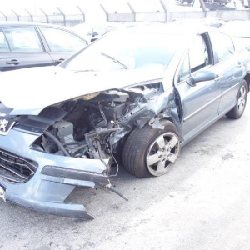 Porte arriere droit PEUGEOT 407 Photo n°3