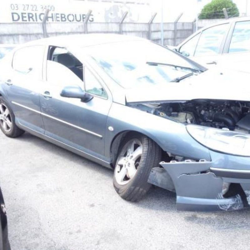 Porte arriere droit PEUGEOT 407 Photo n°4