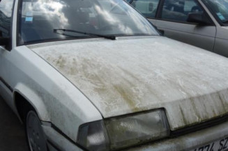 Porte arriere droit CITROEN BX