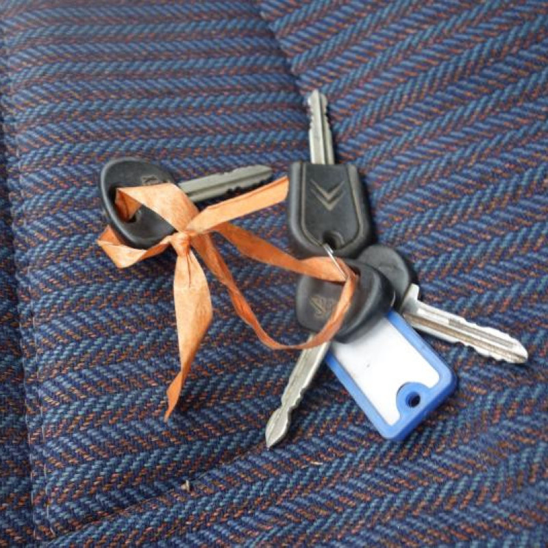 Porte arriere droit CITROEN BX Photo n°10