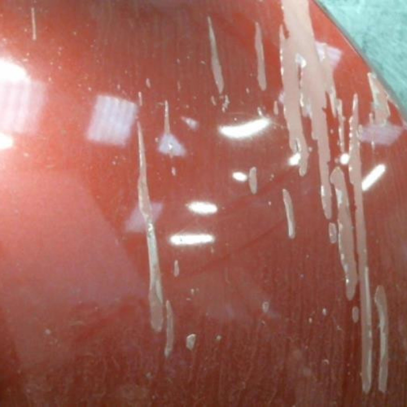Capot SEAT LEON 2 Photo n°3