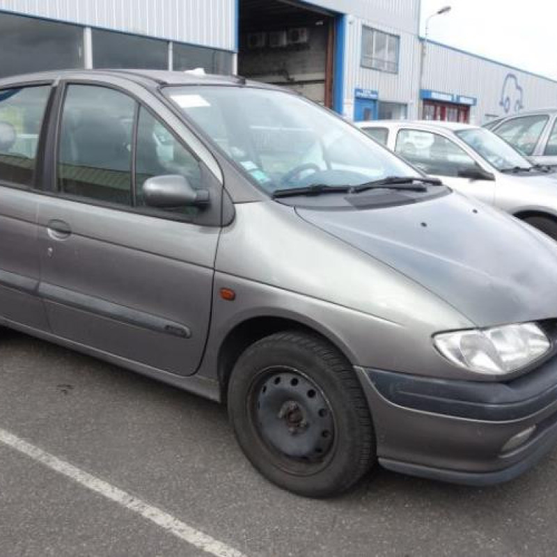 Calandre RENAULT SCENIC 1 Photo n°3