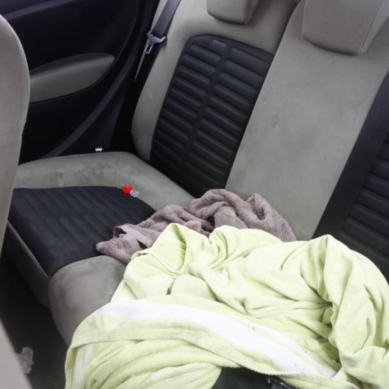 Porte avant droit FIAT GRANDE PUNTO Photo n°7