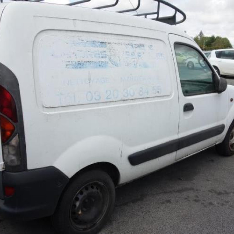 Porte avant droit RENAULT KANGOO 1 Photo n°6