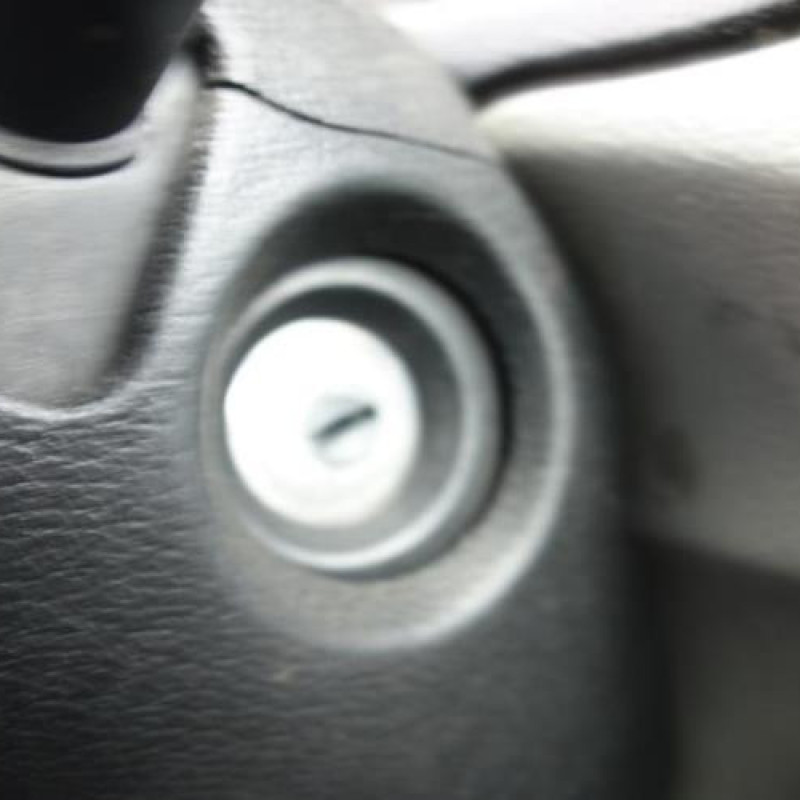 Porte avant droit RENAULT KANGOO 1 Photo n°13