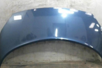 Capot RENAULT SCENIC 2 Photo n°1