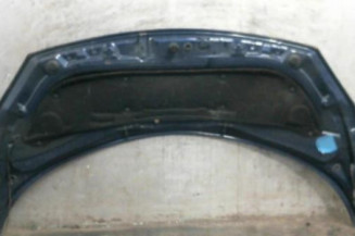 Capot RENAULT SCENIC 2