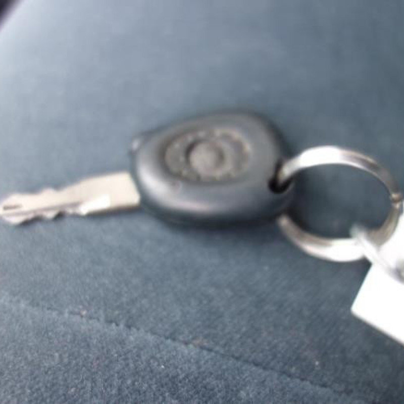 Porte avant droit RENAULT MEGANE 1 Photo n°12
