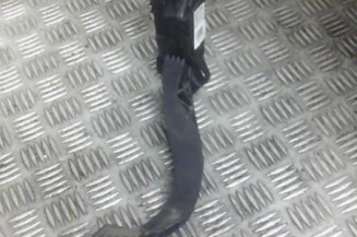 Pedalier d'accelerateur CITROEN C3 PICASSO Photo n°1