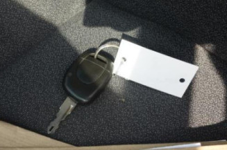 Malle/Hayon arriere RENAULT CLIO 2