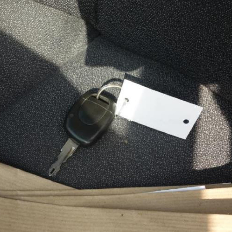 Malle/Hayon arriere RENAULT CLIO 2 Photo n°14